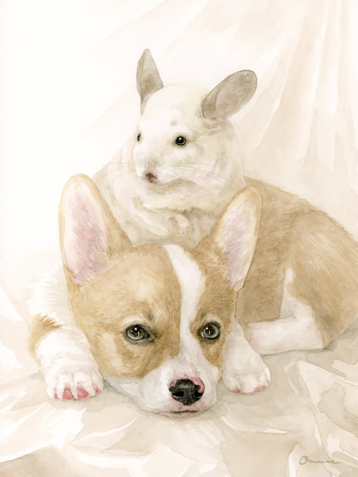 ペットの似顔絵イラスト｜犬猫の手描きオーダーイラスト Omemme